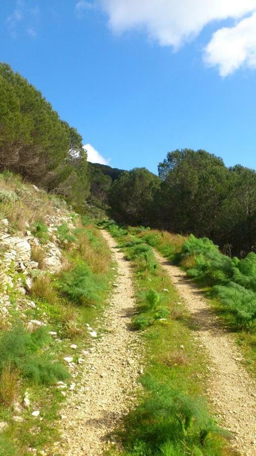 Ostello Cielo D'Alcamo Luaran gambar